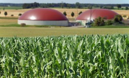 Bonter: Biogaz to szansa na niezależność energetyczną dla Polski