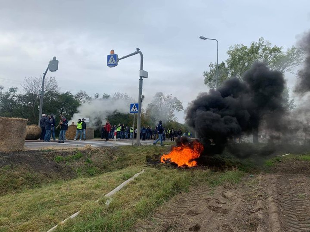 Protest rolników - zdjęcie ilustracyjne