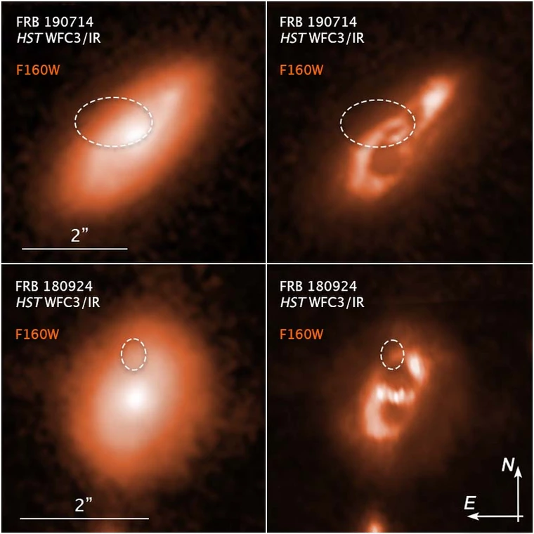 Kropkowane linie na tych zdjęciach z Kosmicznego Teleskopu Hubble'a oznaczają lokalizacje dwóch szybkich rozbłysków radiowych FRB 190714 (górny rząd) i FRB 180924 (dolny rząd) (foto: NASA/ESA/Alexandra Mannings (UC Santa Cruz)/Wen-fai Fong (Northwestern)/Alyssa Pagan (STScI))