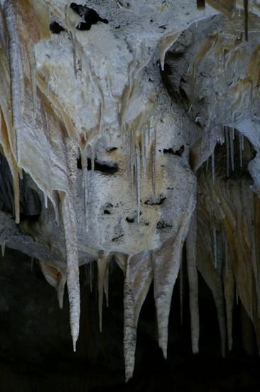 Galeria USA - Carlsbad Caverns, obrazek 22