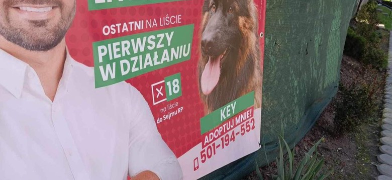 Działacz społeczny z Sosnowca sensacją tegorocznych wyborów. "To interesujące"
