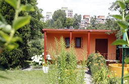 Czy działki ROD przejdą na własność dzierżawców? Ekspert wyjaśnia