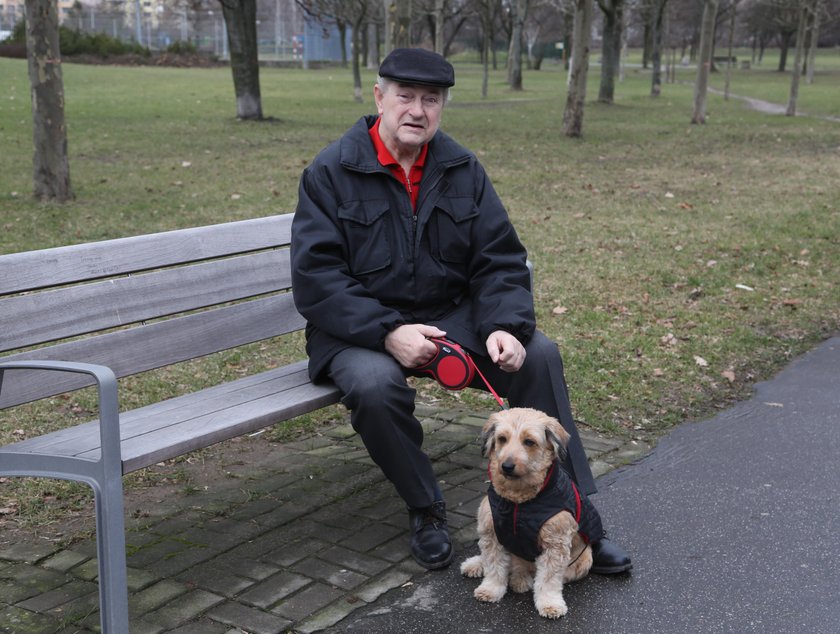 Rozwiązaliśmy zagadkę parku Bródnowskiego. Oznakowane drzewa zostają