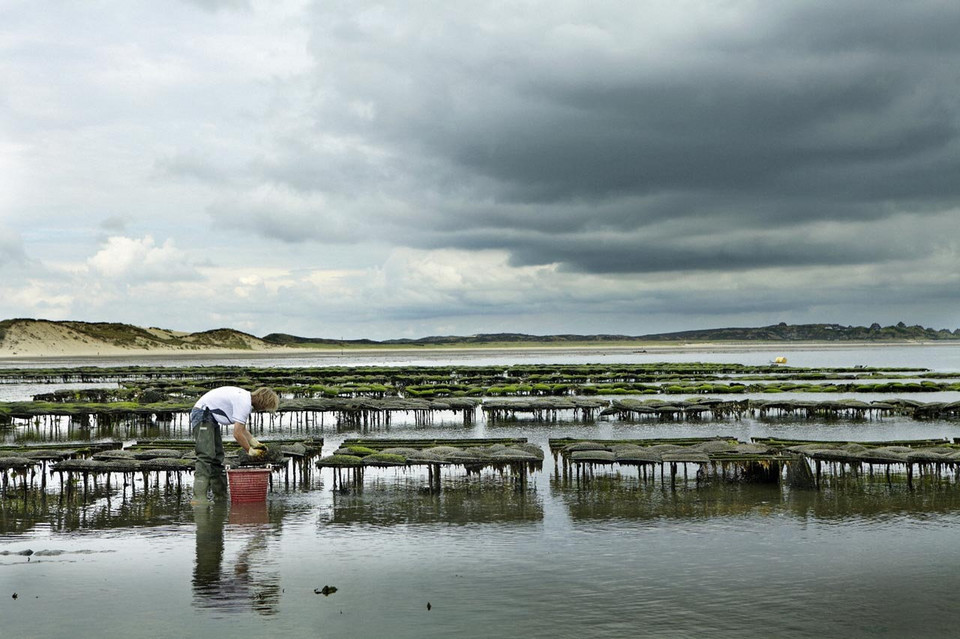 Wyspa Sylt, Niemcy