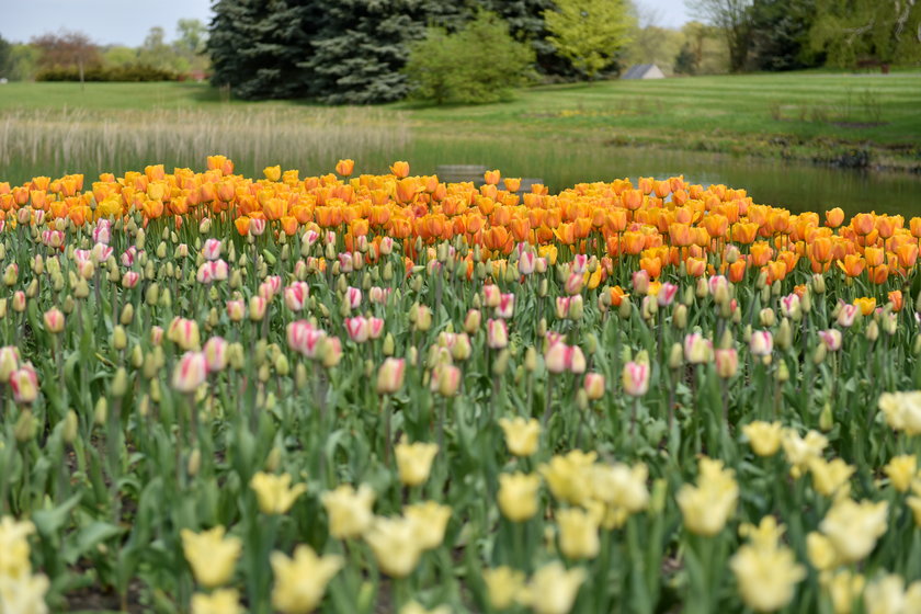 Ogród botaniczny w Łodzi