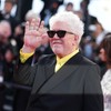 Pedro Almodovar