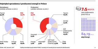 Oddala się wielka fuzja Polskiej Grupy Energetycznej i Energi