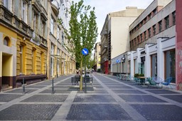 Woonerf, czyli holenderski pomysł na pozbycie się betonozy z polskich miast