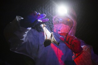 Wirus "uciekł" z laboratorium? WHO: To bardzo nieprawdopodobne