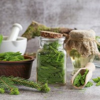 Mire jó a fenyőszirup, és hogyan kell elkészíteni?