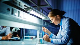 praca w czasach zmiany: rozwój kompetencji przez partnerstwo