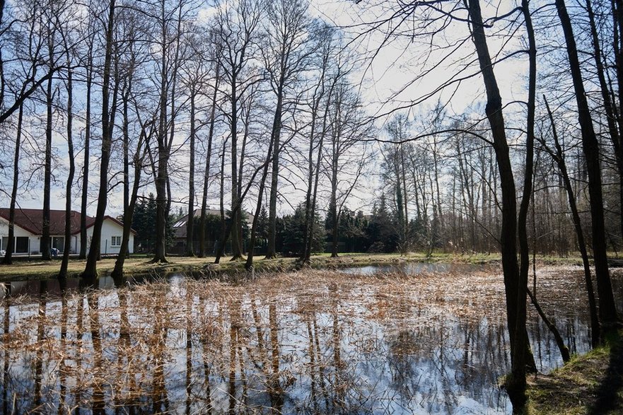 Tereny zielone na Złotnie 