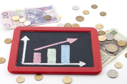 Budżet 2013: Rosati zdradza cięcia, dzięki którym utrzymany zostanie w ryzach dług publiczny