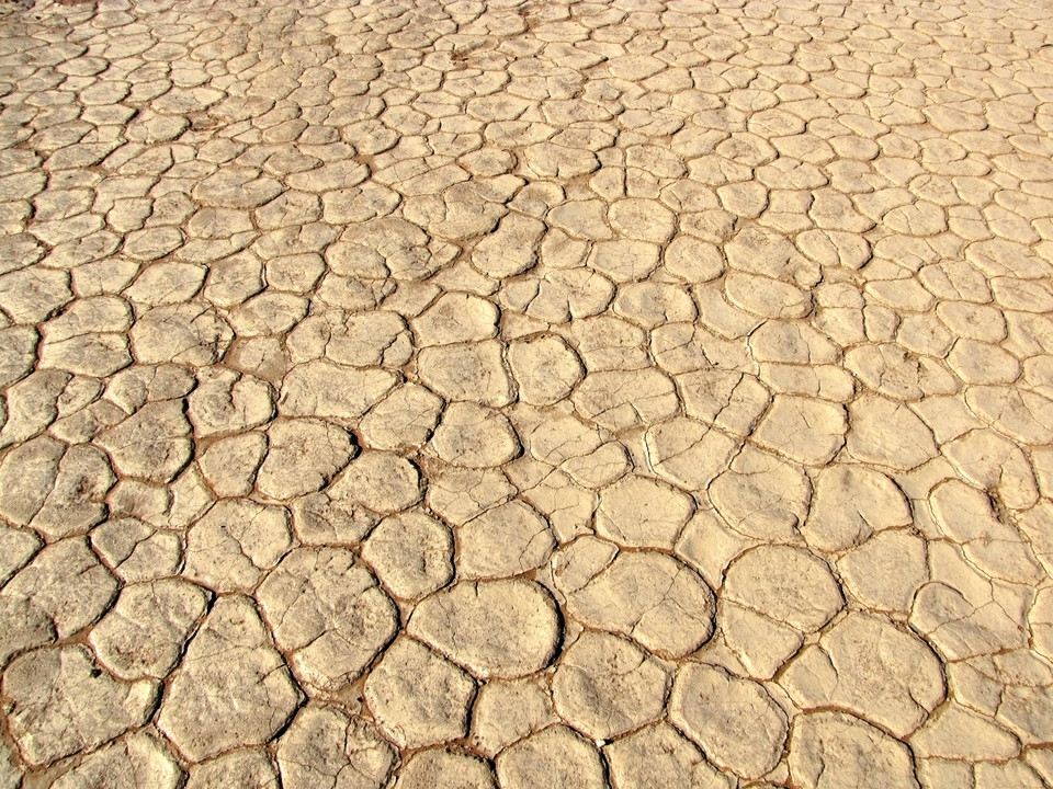 Dead Vlei