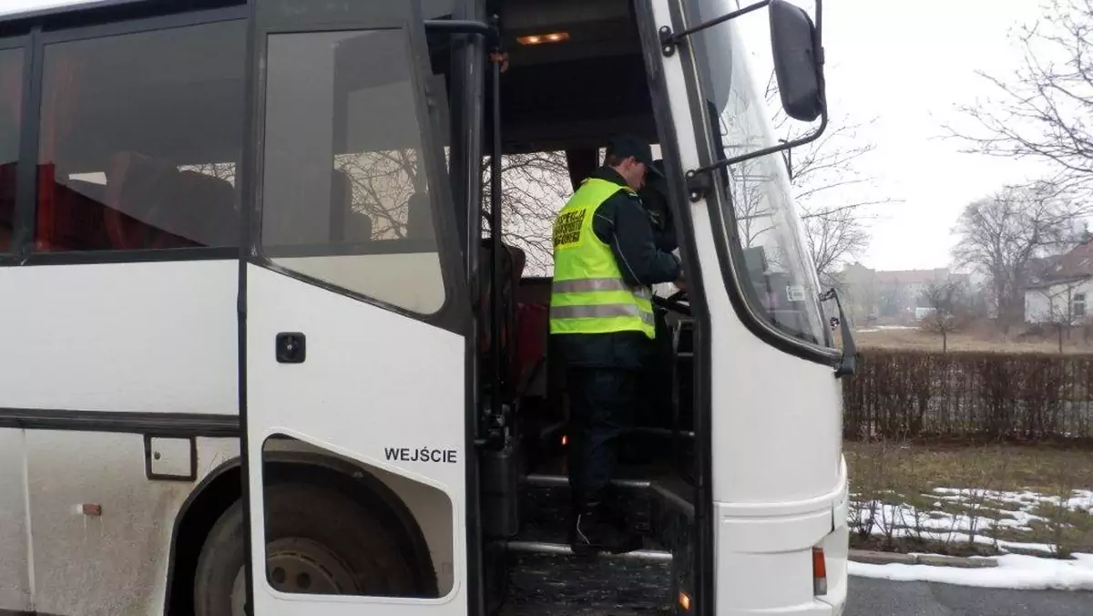 Autobusem bez kół na wycieczkę