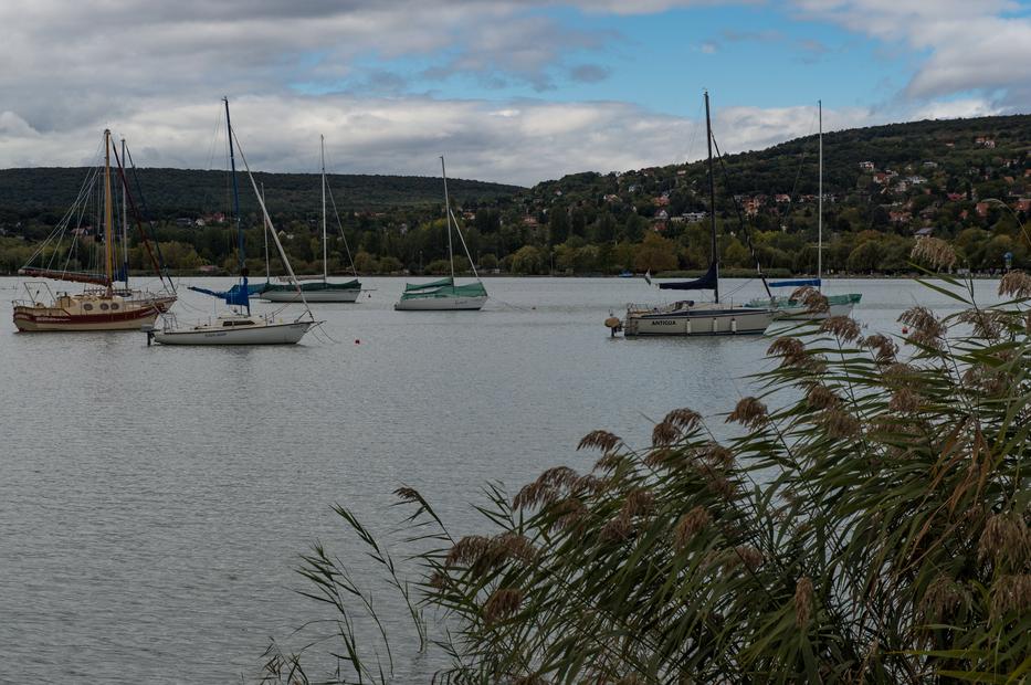 Balatonalmádi / Fotó: MTI/Cseke Csilla