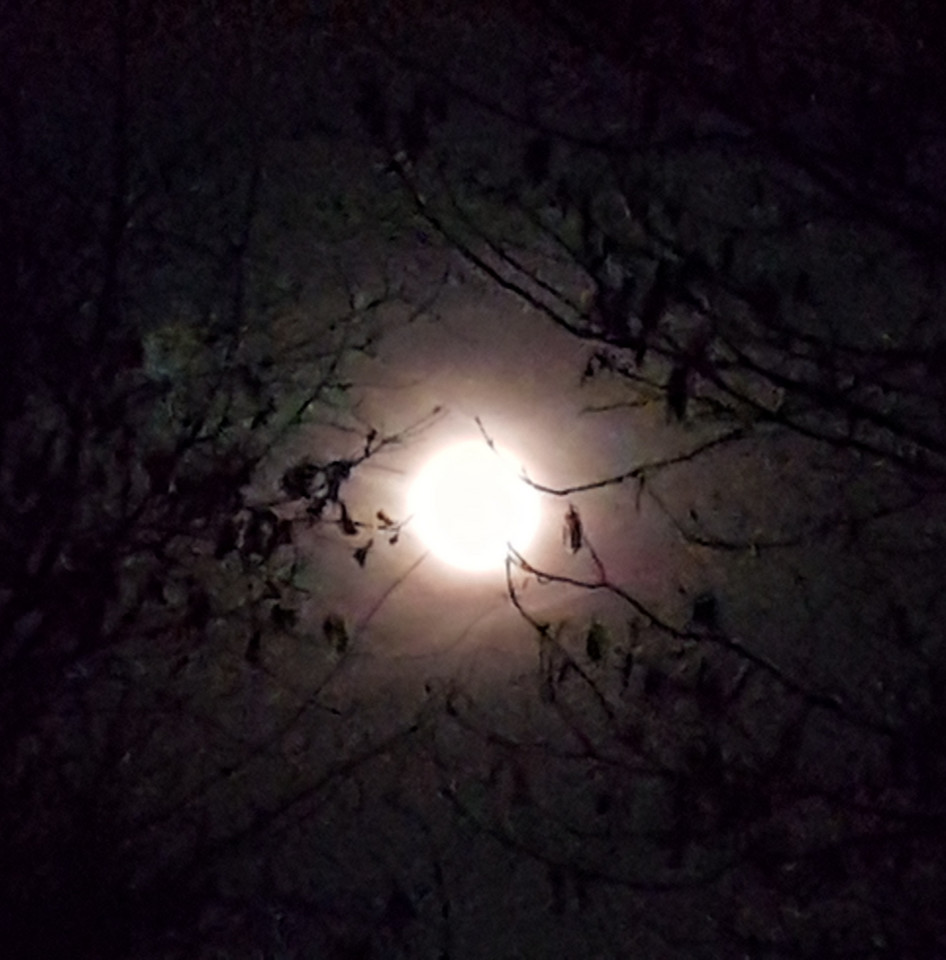 Zdjęcie "Superksiężyca" podesłane przez czytelnika