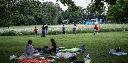 Będzie można grillować w parkach?