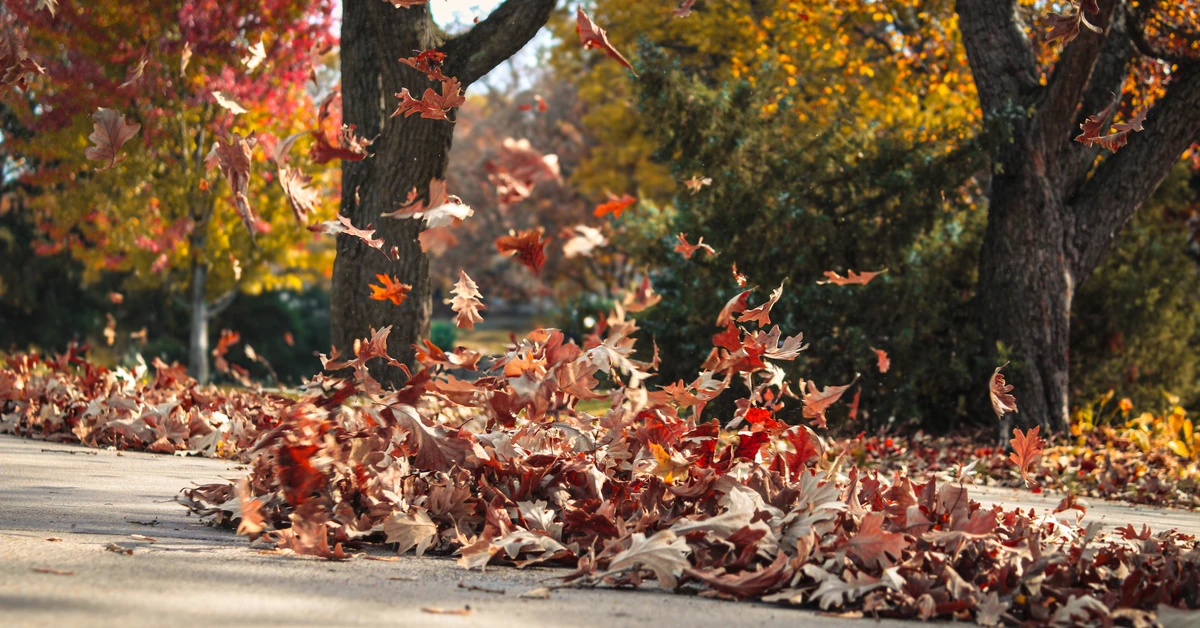 IMGW wydaje alerty. Trzy województwa pod ostrzałem wiatru