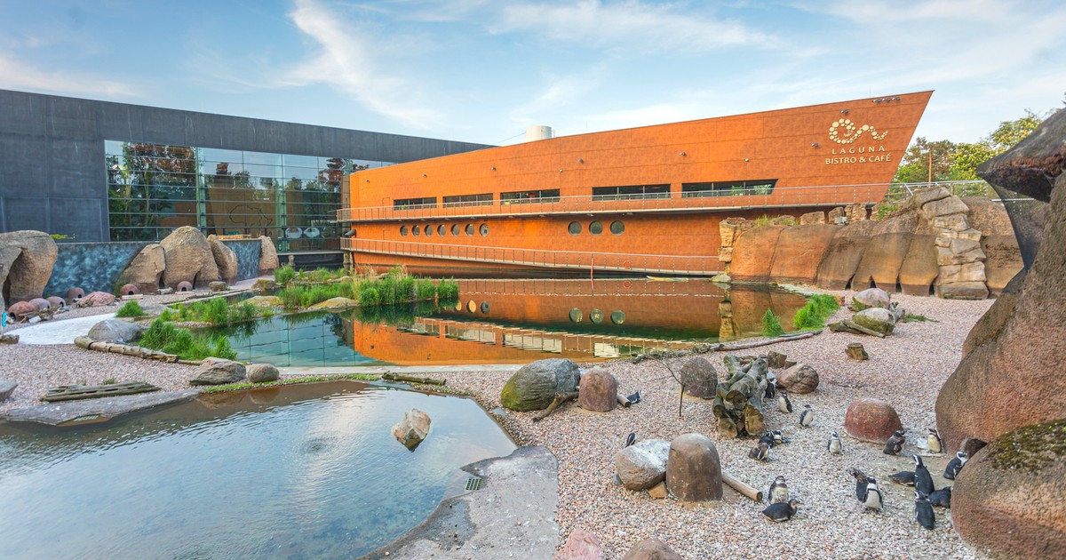 Rusza konkurs „Piękny Wrocław”. Możesz wziąć udział!