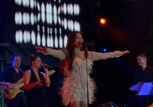 Ceca Ražnatović