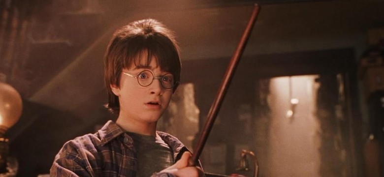 Polacy wolą "Harry'ego Pottera" niż nowe filmy. Ten ranking VOD daje do myślenia