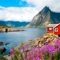 Zarobki powyżej 20 tys. i proste przepisy – zobacz jak założyć firmę w Norwegii