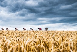 Tour de France 2022, etap szósty: Binche-Longwy, 7 lipca 2022 r