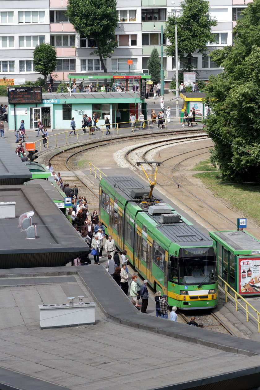 Remont pętli na Ogrodach