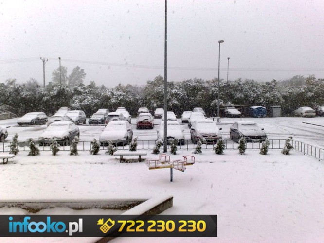 mieszkańców Radomia,