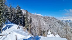 Atak śnieżycy w Karyntii. Tysiące domów bez prądu, ostrzeżenia przed lawinami
