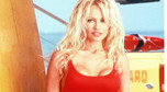 Pamela Anderson