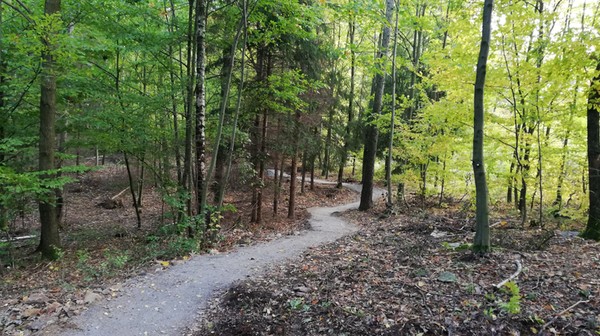 Strzelińskie ścieżki rowerowe i szlaki piesze idealnie wpasowują się w teren i tylko w niewielkim stopniu ingerują w środowisko naturalne. 