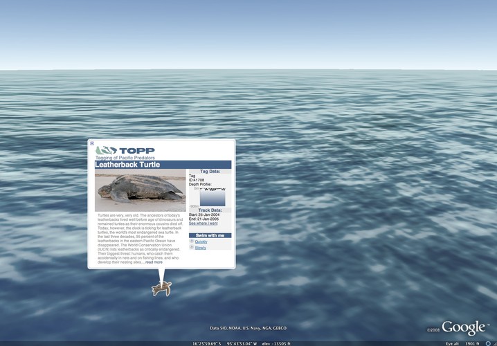 Choć morza i oceany zajmują aż 70 proc. powierzchni naszej planety, jedynie 5 proc. ich wód zostało zbadanych przez naukowców