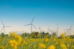 Czy prezydent podpiszę ustawę wiatrakową? Rzecznik Karola Nawrockiego nie pozostawia wątpliwości