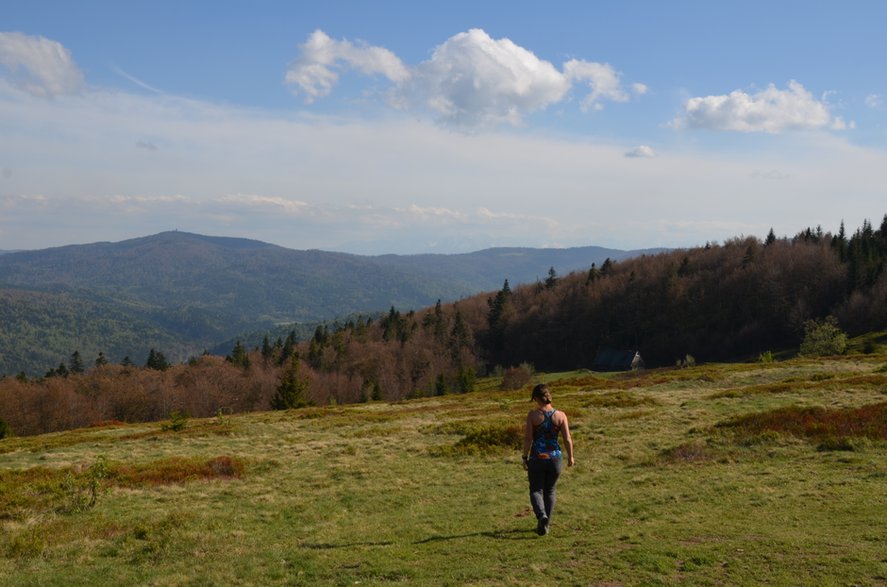 Beskid Wyspowy. Polana Skalne pod Jasieniem.