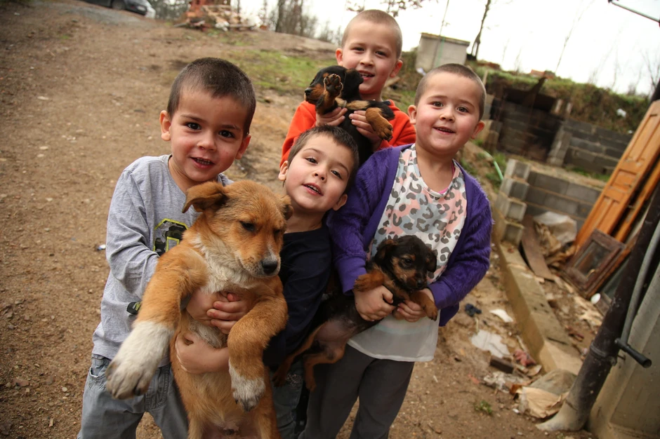 Klinci obožavaju životinje