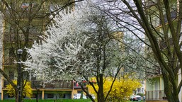 prognoza na wiosnę 2026. po ciepłym marcu przyjdzie zwrot w pogodzie? [prognoza długoterminowa]