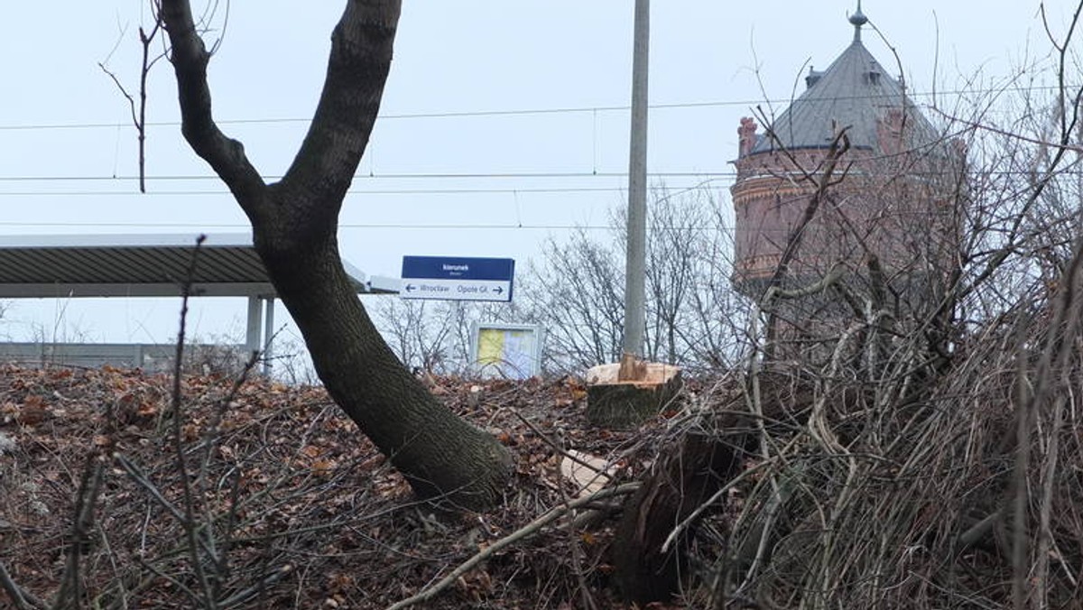 Choć wycinka jeszcze się nie skończyła to już widać, że teren wokół dworca PKP będzie wyglądać zupełnie inaczej. Zniknąć mają niemal wszystkie drzewa.