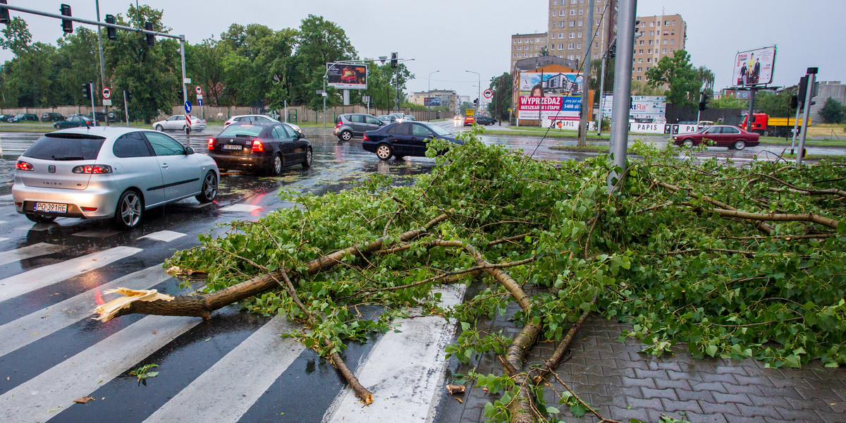 Poznań po nawałnicy