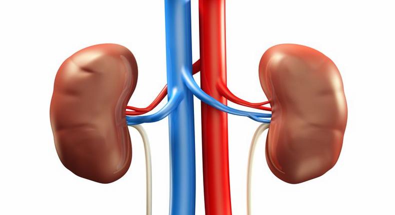 kidney disease