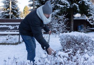 Šest biljaka koje morate orezati odmah – ako ovo preskočite, bašta vam neće oprostiti
