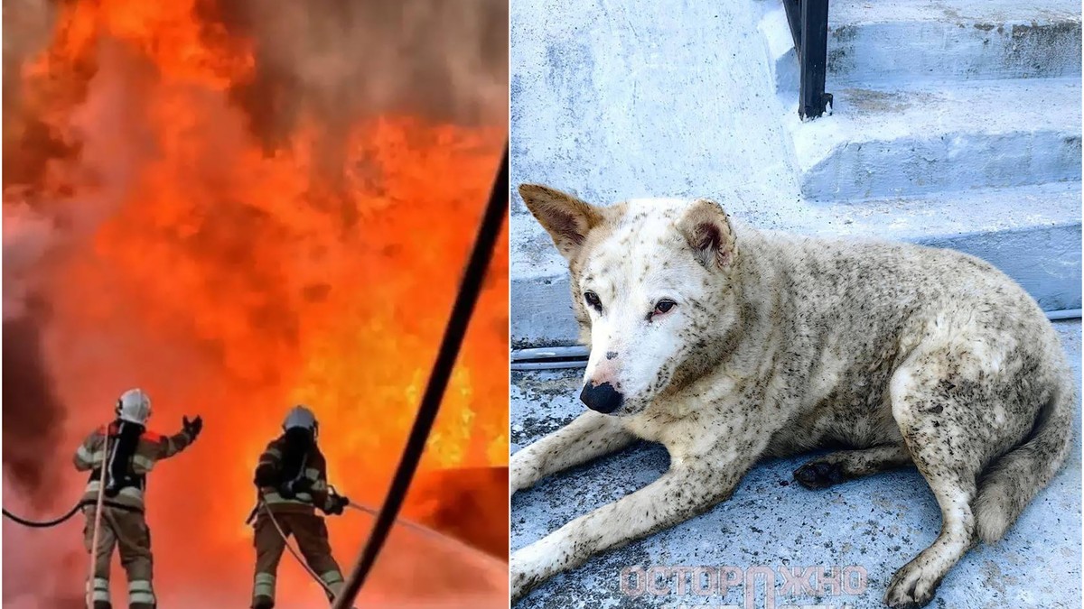 "Kiša nafte" u ruskom gradu Tuapseu