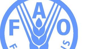 FAO Regional Office for Africa