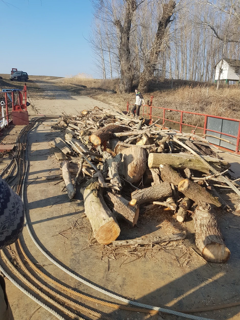Šumokradice koriste skelu za prevoz drva sa jedne na drugu obalu