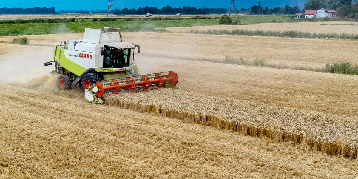 Rolnicy mogą liczyć na zastrzyk gotówki wprost z UE.