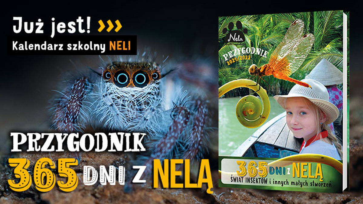 <strong>Już 25 sierpnia będzie miała premierę najnowsza publikacja Neli Małej Reporterki – bestsellerowej autorki książek dla dzieci, podróżniczki i młodej badaczki odległych kultur oraz świata zwierząt. </strong>