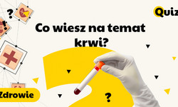 Co wiesz na temat krwi? TEST wiedzy ogólnej. Sprawdź, czy dasz radę! [QUIZ]