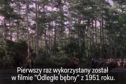 Oto najsłynniejszy krzyk filmowy w historii Hollywood