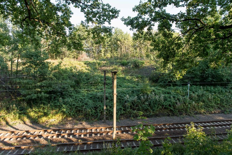 Okolice torów kolejowych w pobliżu 65. kilometra trasy łączącej Wrocław z Wałbrzychem